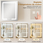 Armoire murale salle de bain avec miroir et éclairage LED, anti-buée, étagères réglables, 50 x 15 x 60 cm, blanc