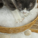 Arbre à chat arbre à grimper hauteur de 75,5 cm avec deux lits pour chat en rotin griffoirs coussins lavables beige