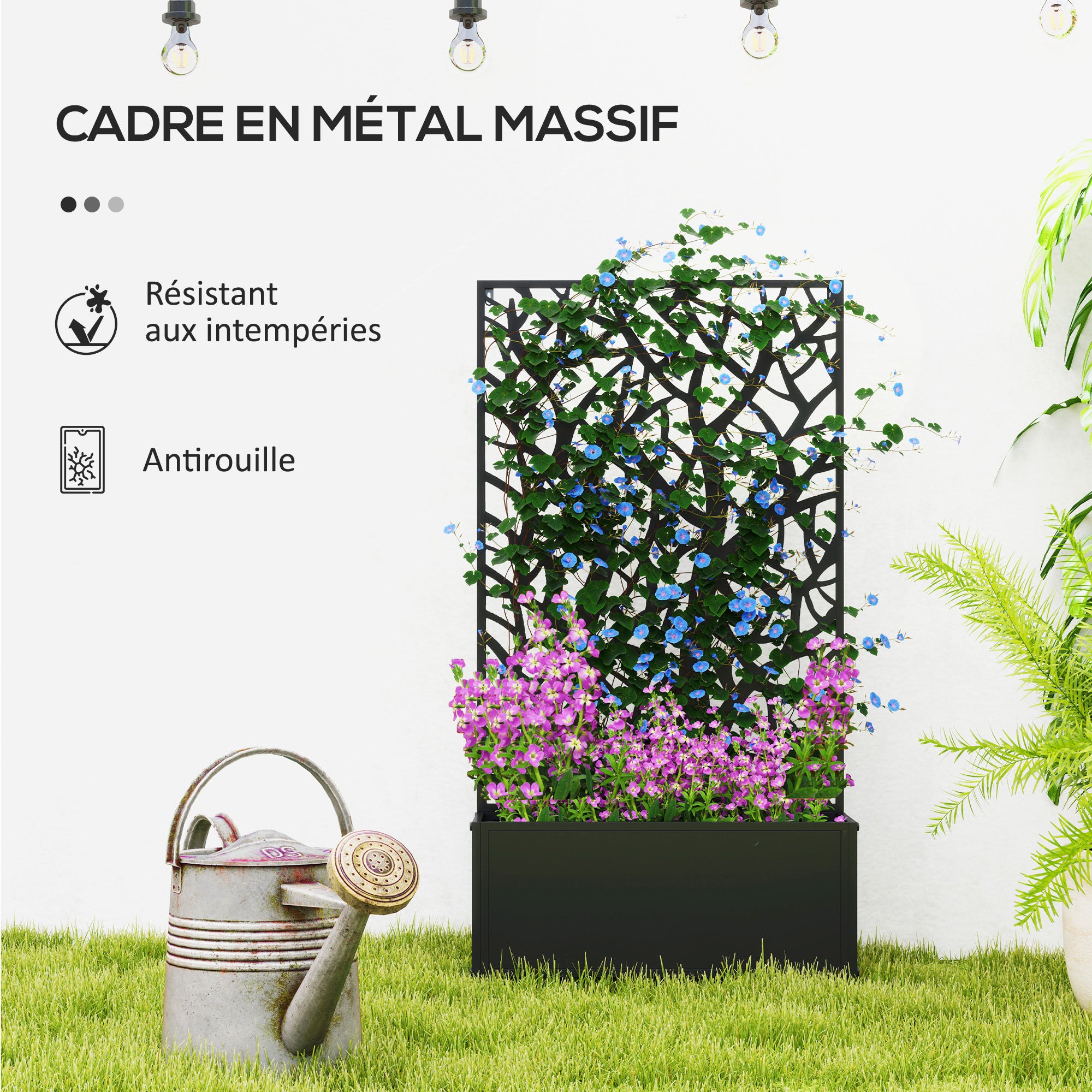 Texte alternatif de l'image