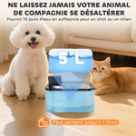 Fontaine à eau pour chat automatique en inox 5L, silencieuse, distributeur eau chat 3-étapes filtre chargeur USB, argent