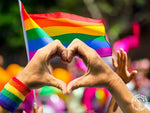 hamac a barre l pride 6