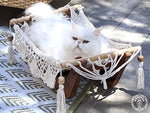 hamac a chat ecru support en bois 6