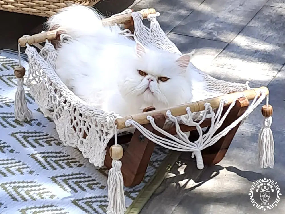 hamac a chat ecru support en bois 6
