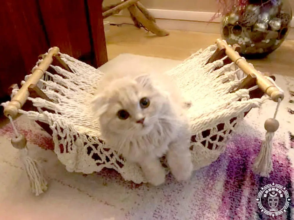 Hamac pour chat écru