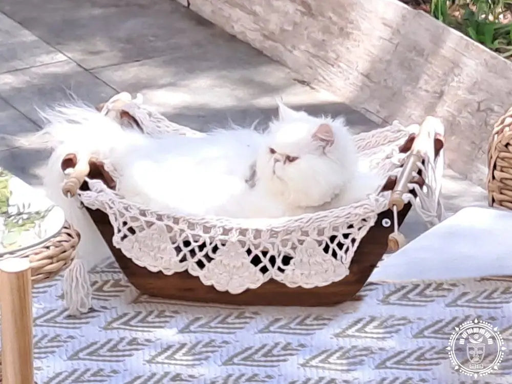 hamac pour chat ecru support en bois