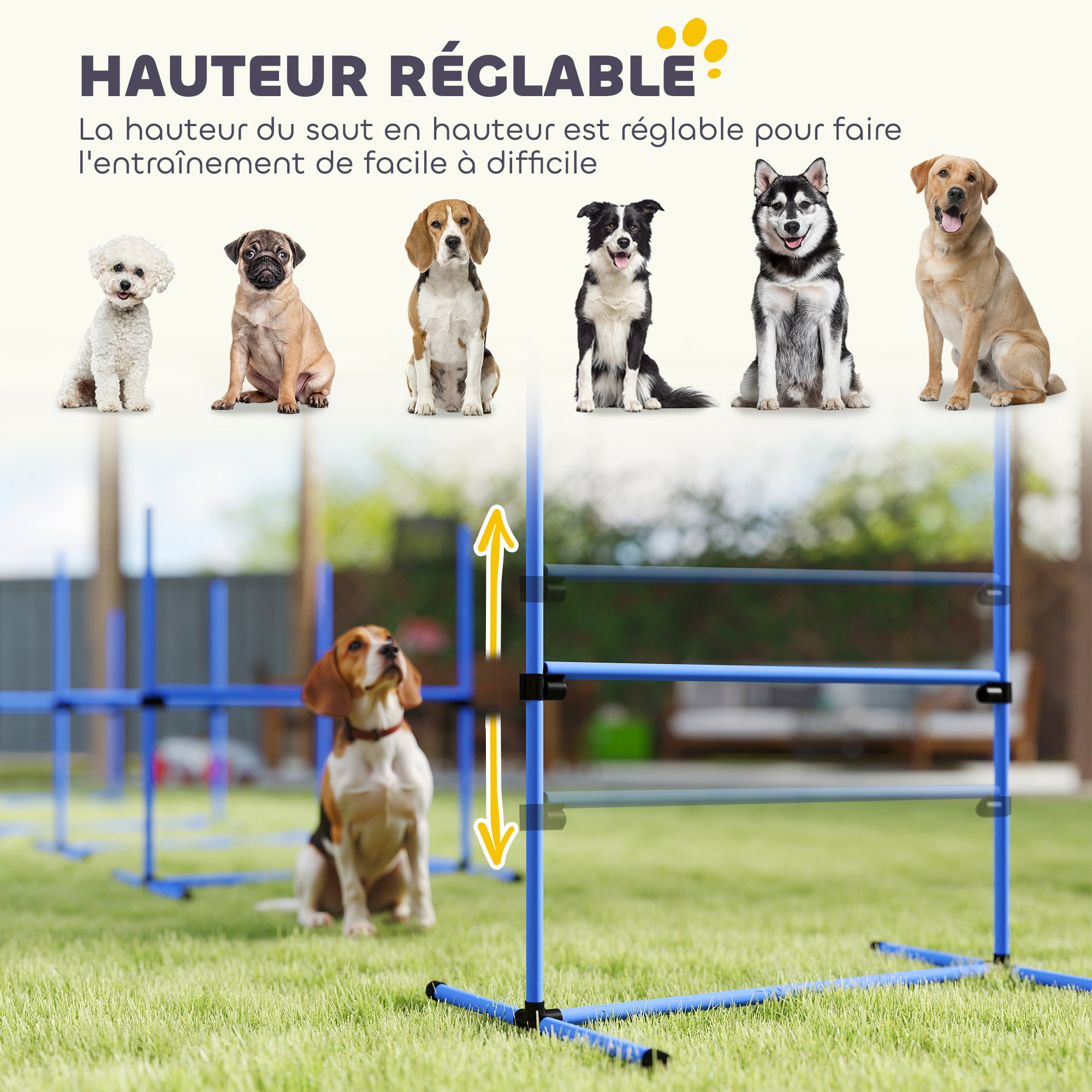 Agility sport pour chiens set de 4 obstacles professionnels avec système de maintien au sol sac transport fourni