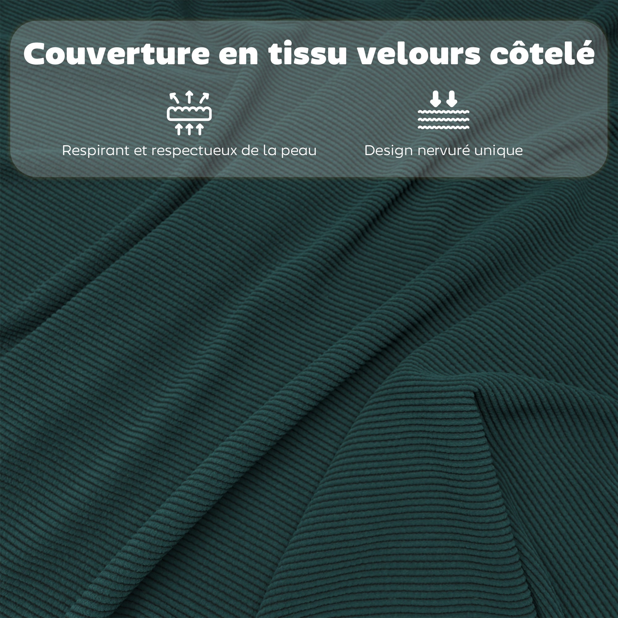 Texte alternatif de l'image