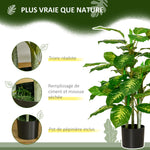 Plante artificielle calathea hauteur 95 cm pot ciment - intérieur
