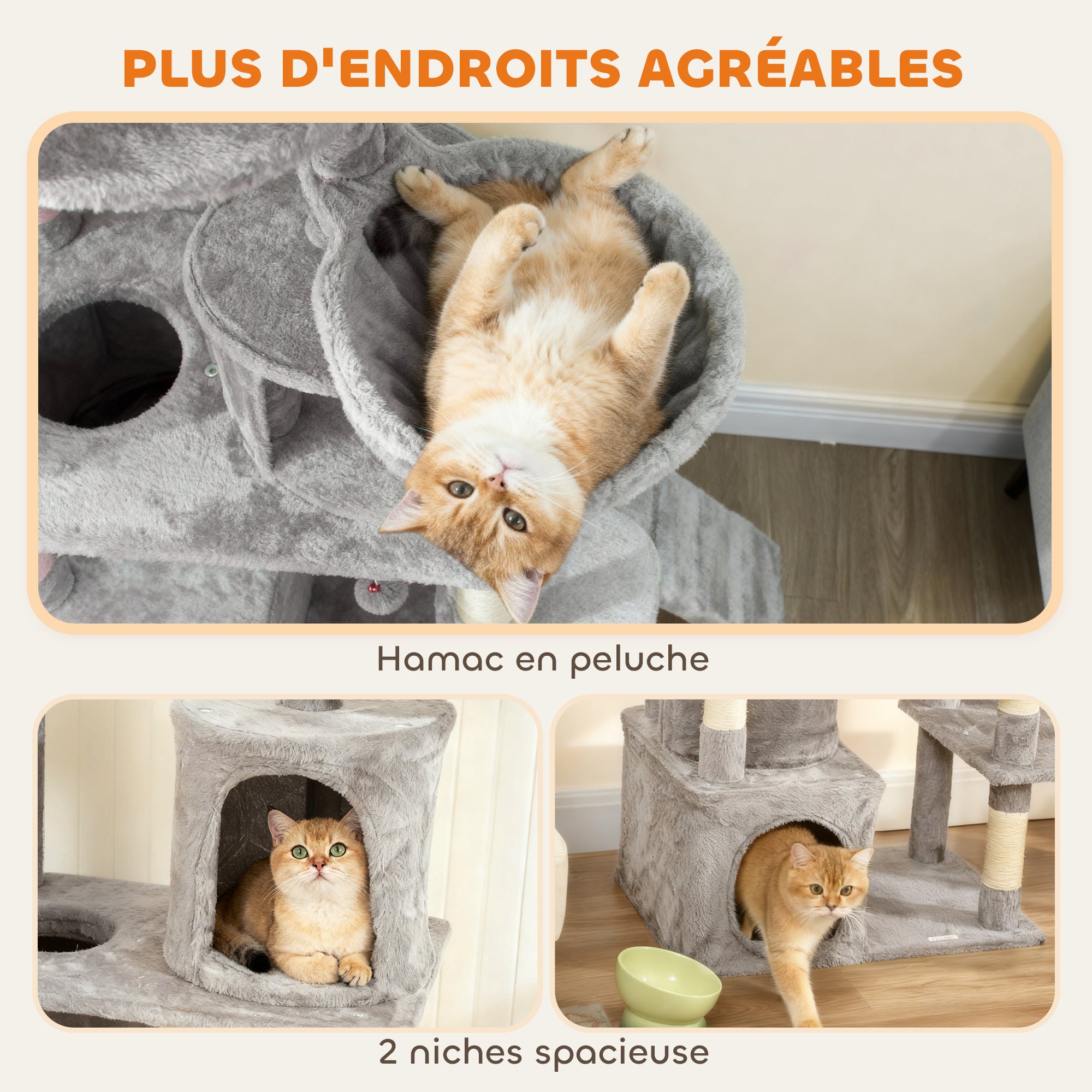 Texte alternatif de l'image
