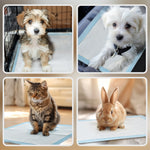 Lot de 80 tapis d'entraînement pour chien, étanche, 6 couches avec surface à séchage rapide, protection, 60 x 60 cm