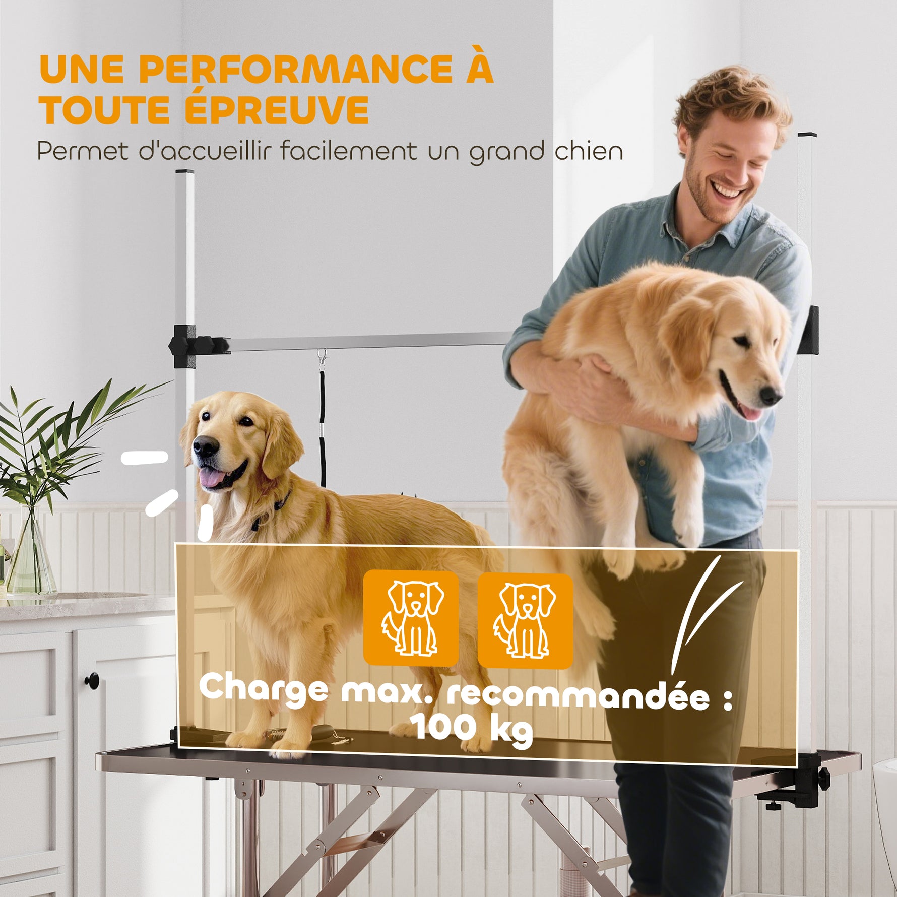 Table de toilettage pour chien pliante potence H-forme inox réglable 2 sangles panier 107 x 60 x 164 cm noir