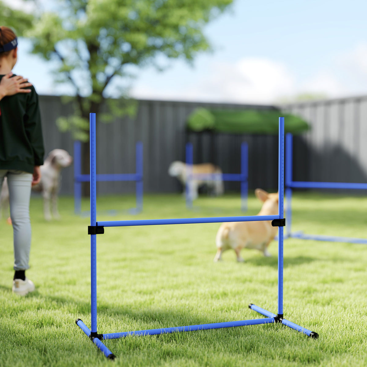 Agility sport pour chiens set de 4 obstacles professionnels avec système de maintien au sol sac transport fourni