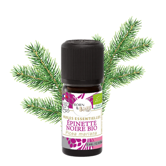 Huile essentielle Épinette noire Certifiée Bio-0
