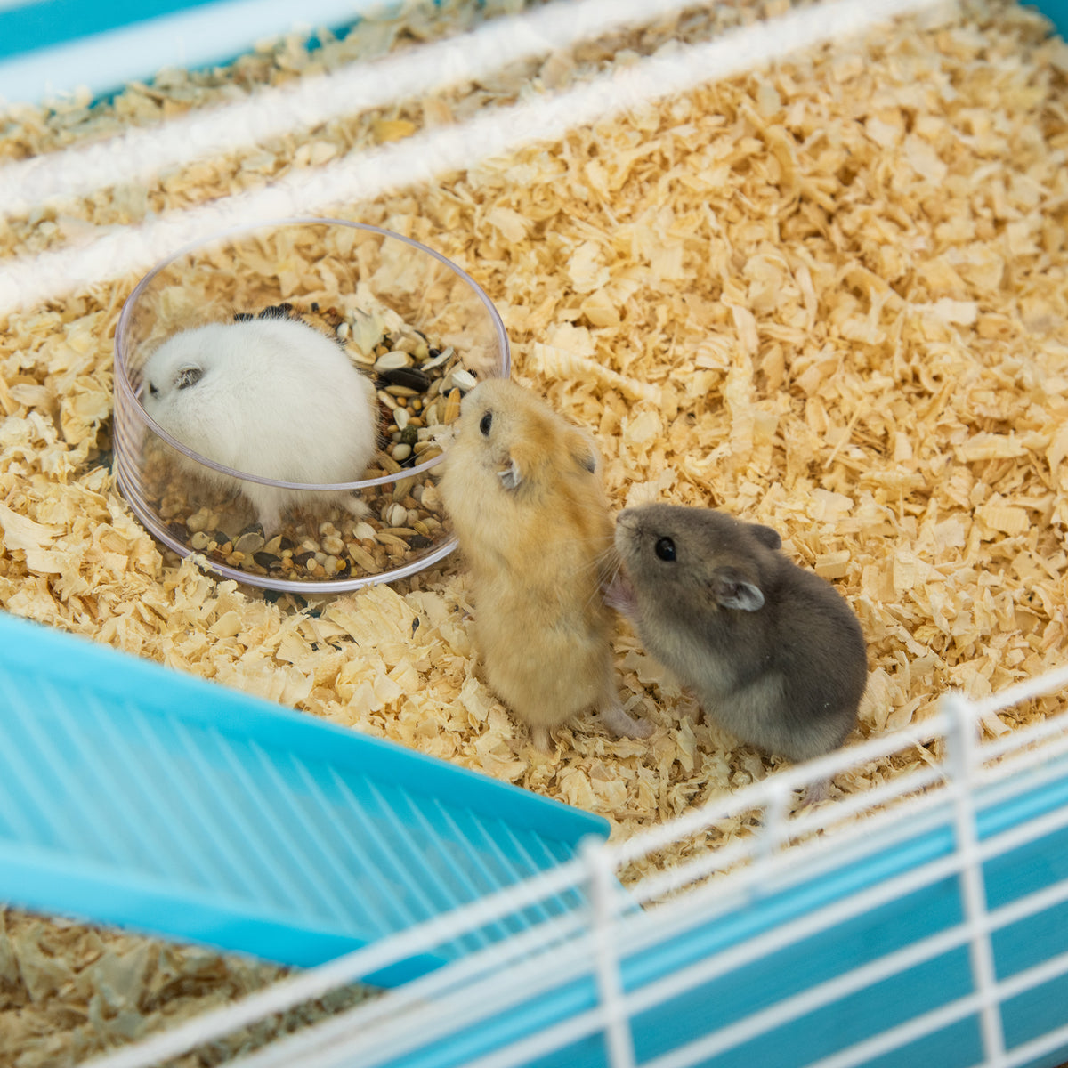 Grande cage pour hamsters cage pour rongeur 5 niveaux avec tunnels abreuvoir roue maisonnette échelles dim. 59L x 36l x 69H cm
