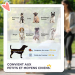 Poussette pliable animaux chien chat coussin inclus roues avec frein tissu 600D Oxford 102 x 62 x 105 cm gris
