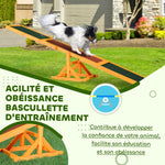 Agility sport pour chien bascule - bascule pour chien - équipement entrainement chien - bois pré-huilé feutre