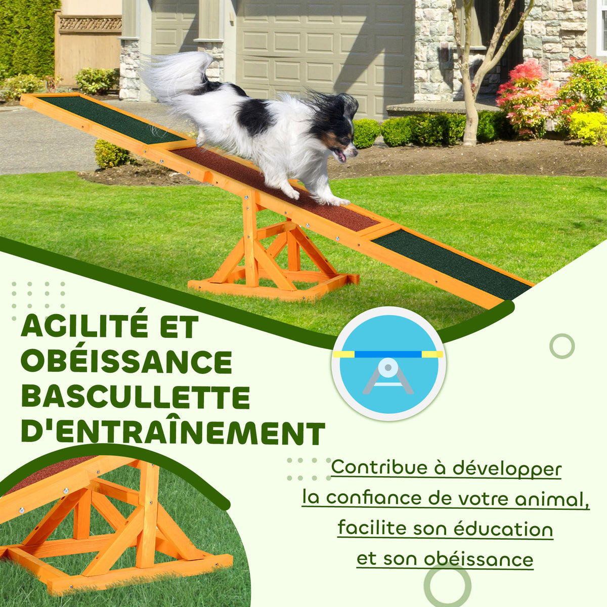 Agility sport pour chien bascule - bascule pour chien - équipement entrainement chien - bois pré-huilé feutre