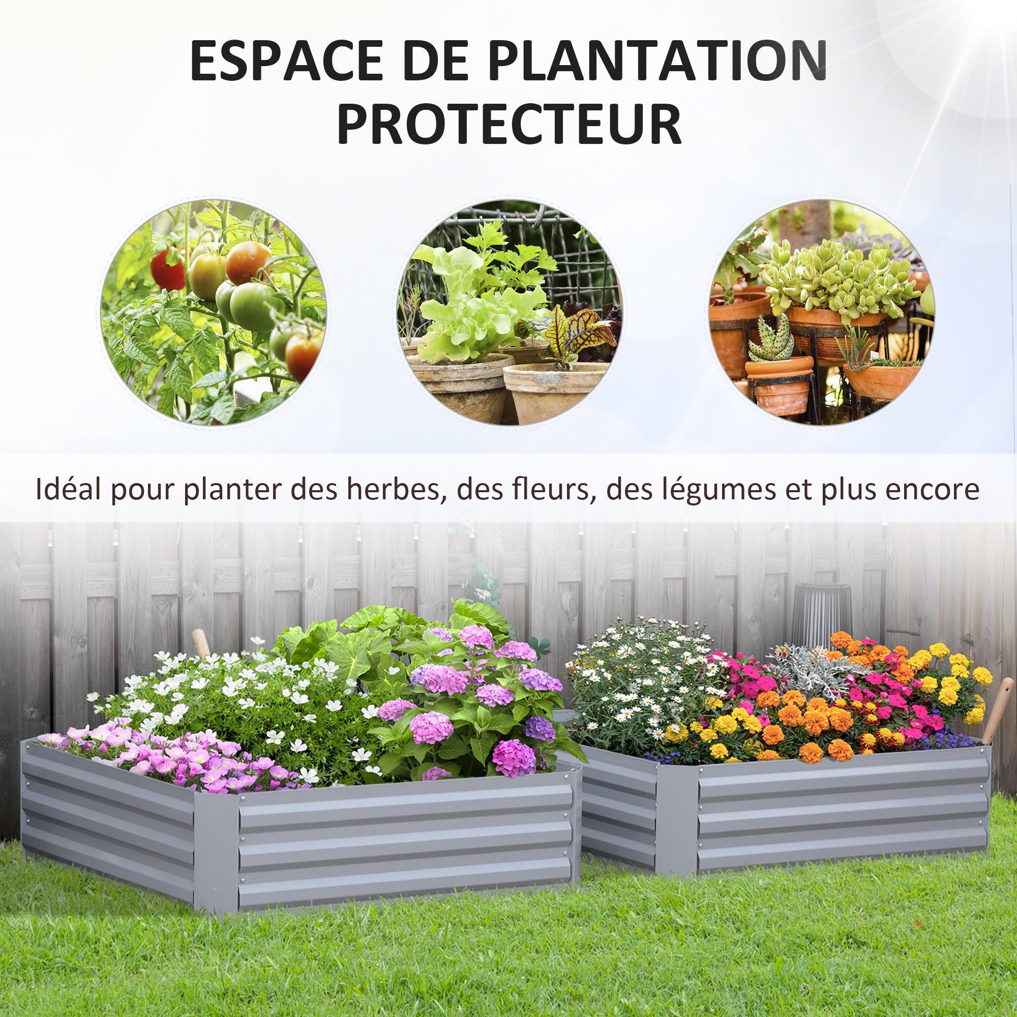 Texte alternatif de l'image