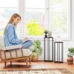 Set di 2 supporti per piante, sgabello esagonale in metallo per fiori, per interni ed esterni, nero