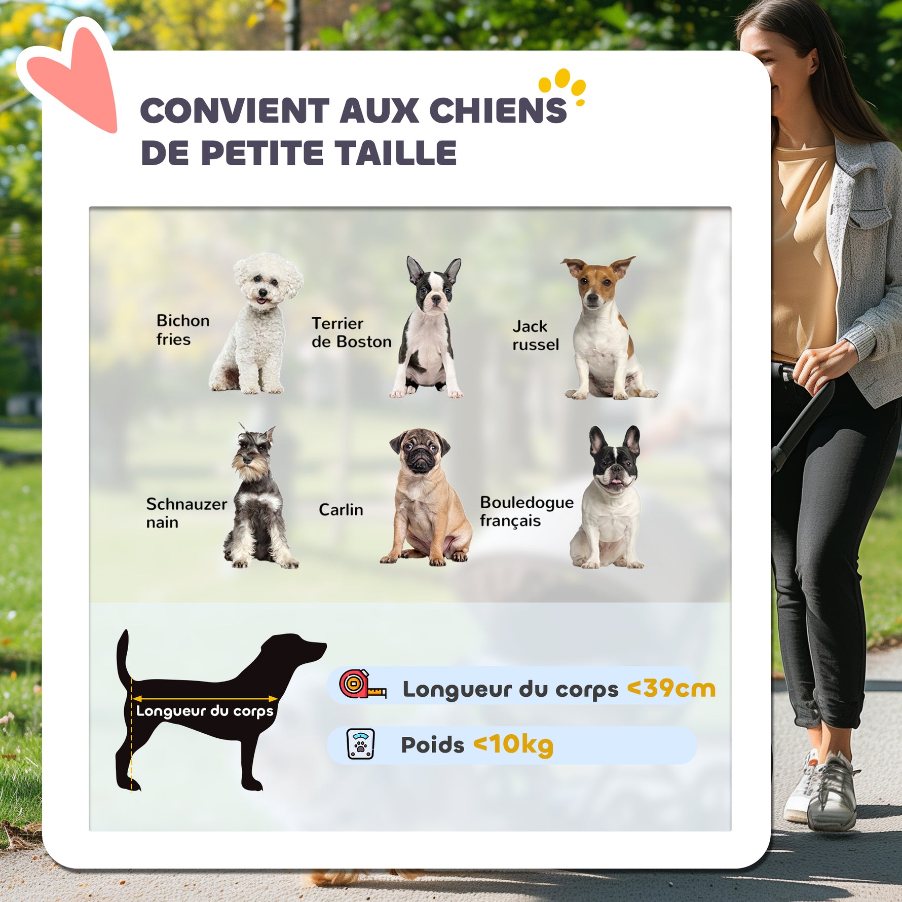 Poussette pour chien pliable avec panier de rangement, coussin lavable, roues en caoutchouc et auvent réglable, gris