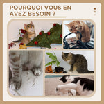Arbre à chat griffoir grattoir en forme de patte 2 plateformes et un pompon suspendu hauteur 44 cm marron