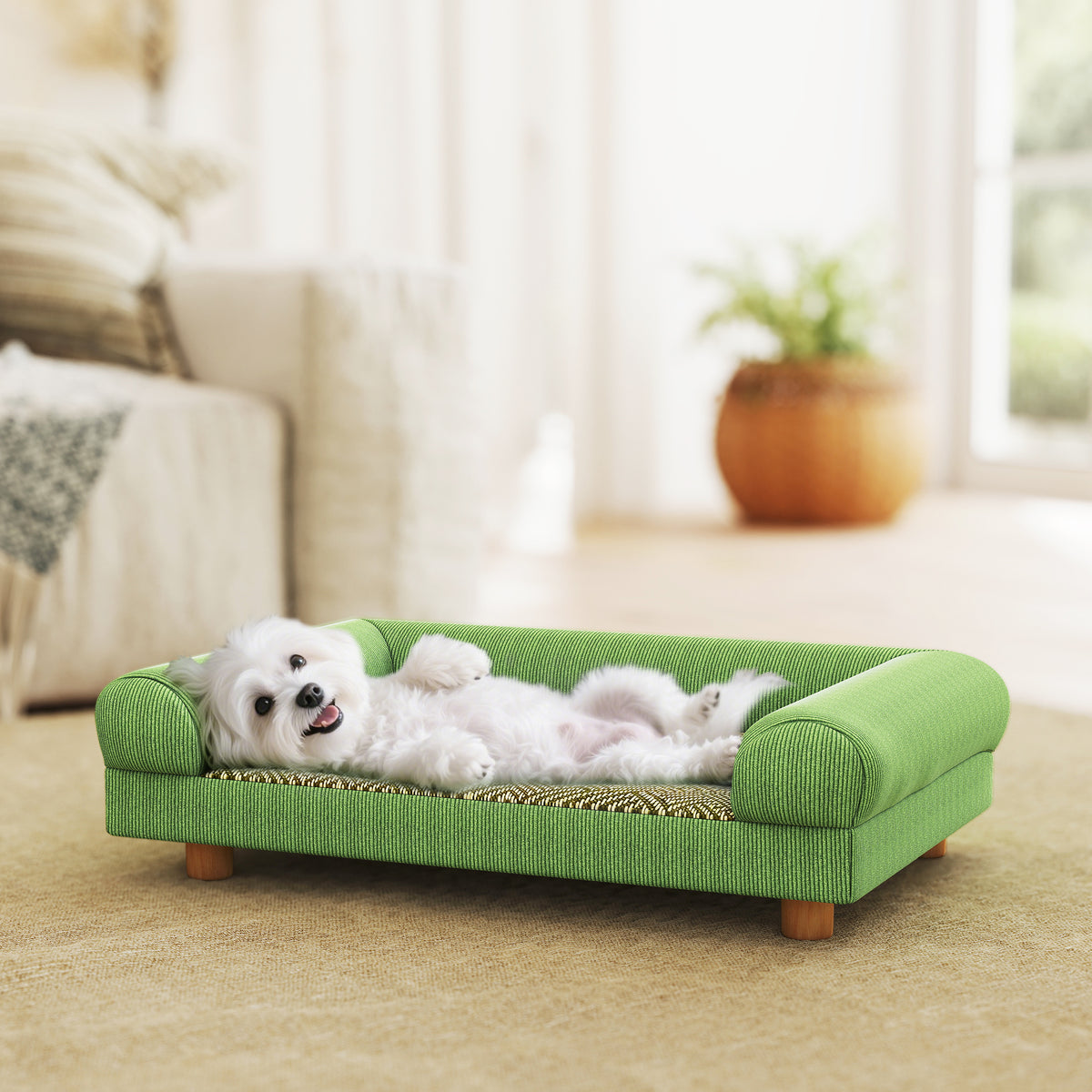 Hunde- und Katzenschlafsofa, erhöhtes Hundebett, kühlende Matte, Armlehnen, aus weichem Samt 63 x 41 x 17 cm, Grün