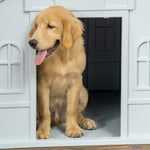 Niche pour Chien Extérieur avec Toit en Pente et Porte Avant Ouverte, pour Chiens Moyens et Grands, 84,2x98,2x82cm, Bleu