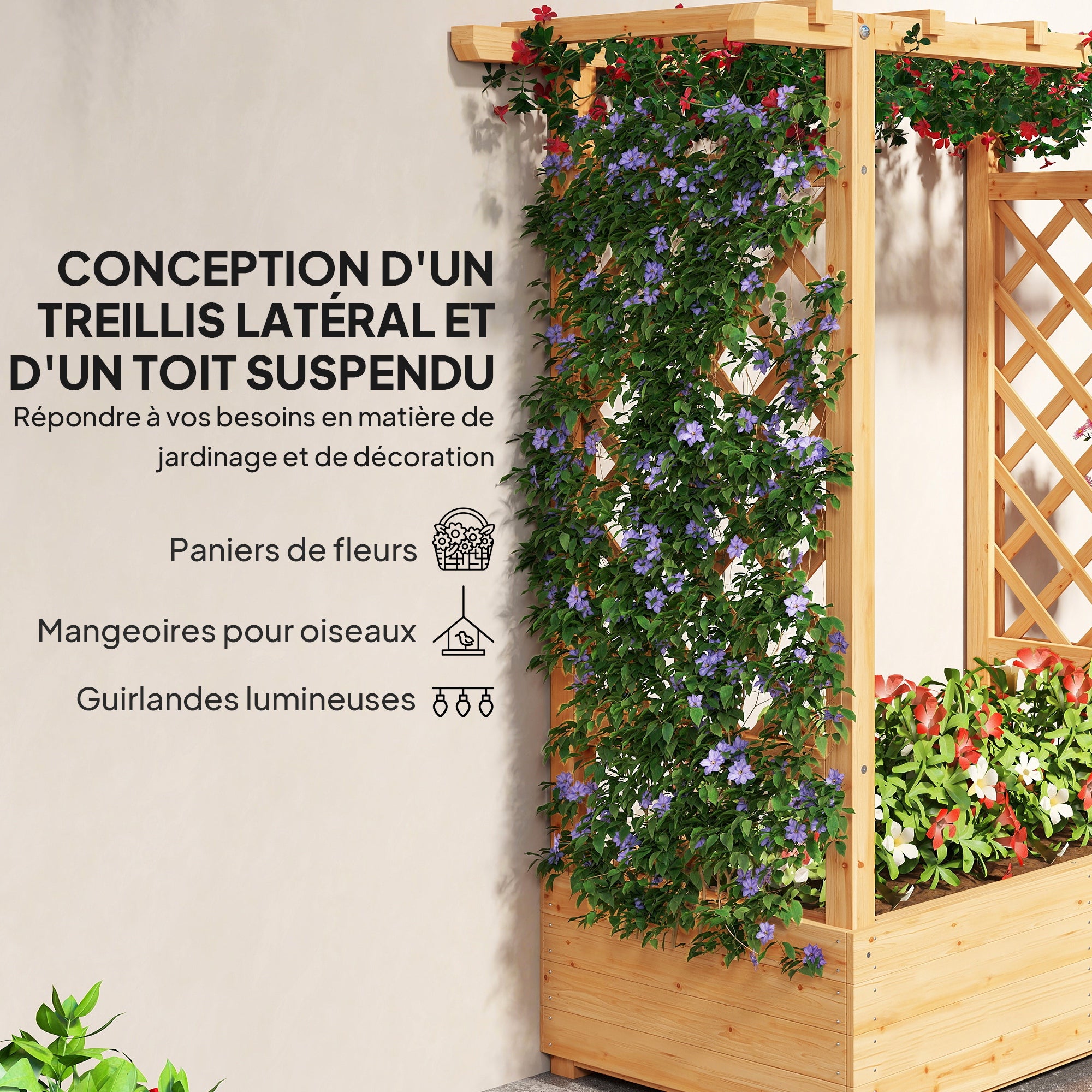 Texte alternatif de l'image