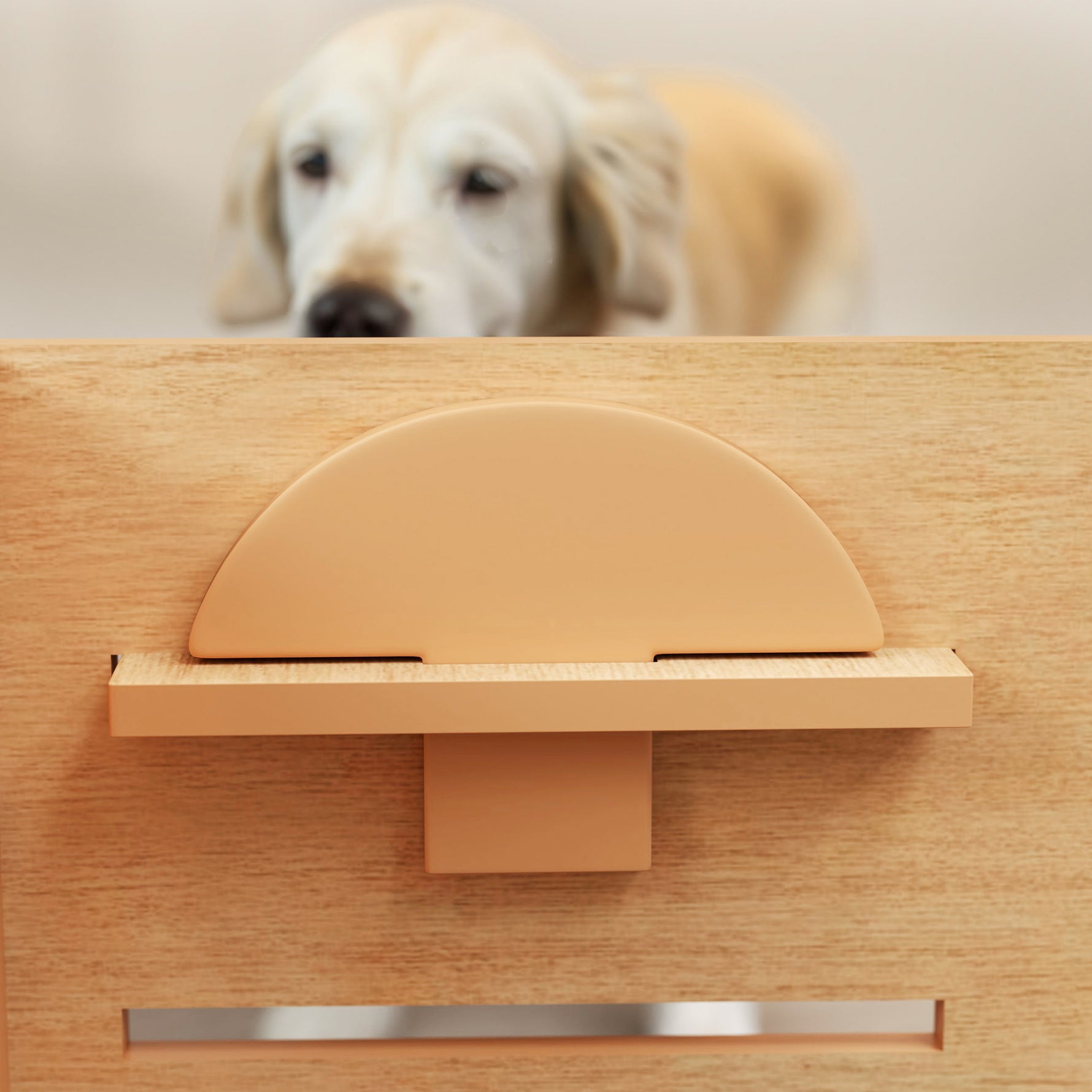 Gamelle chien surélevée de 3 hauteurs ajustables gamelle pour chien 2 bols acier inoxydable 63 x 58,5 x 40 cm chêne