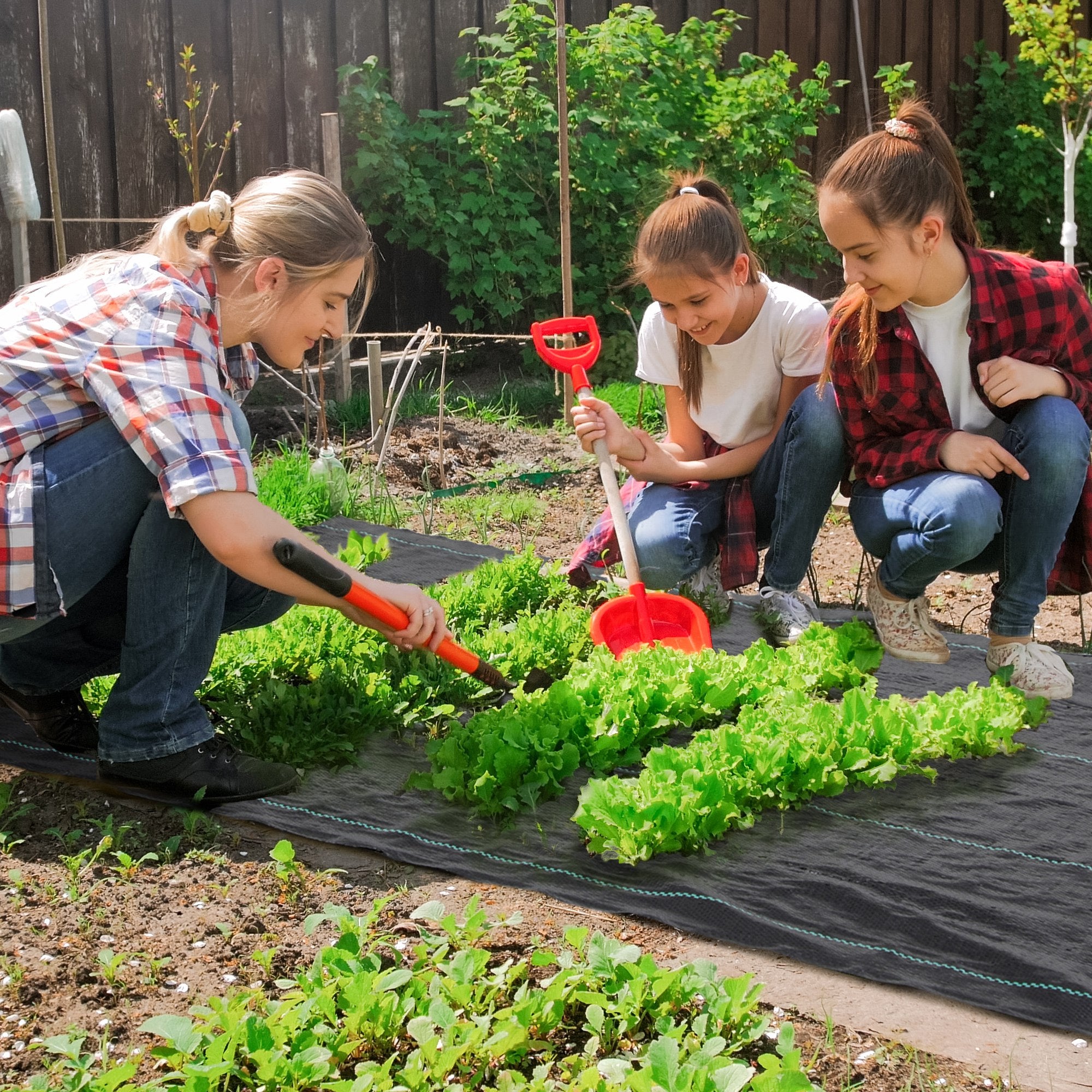 Toile de paillage géotextile de paillage contre les mauvais herbes 100 x 2 m résistant aux déchirures polypropylène noir