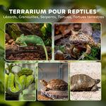 Boîte à reptiles, boîte d'élevage de reptiles, fermeture sécurisée par rotation, ventilation frontale, 50x30x35cm, noir