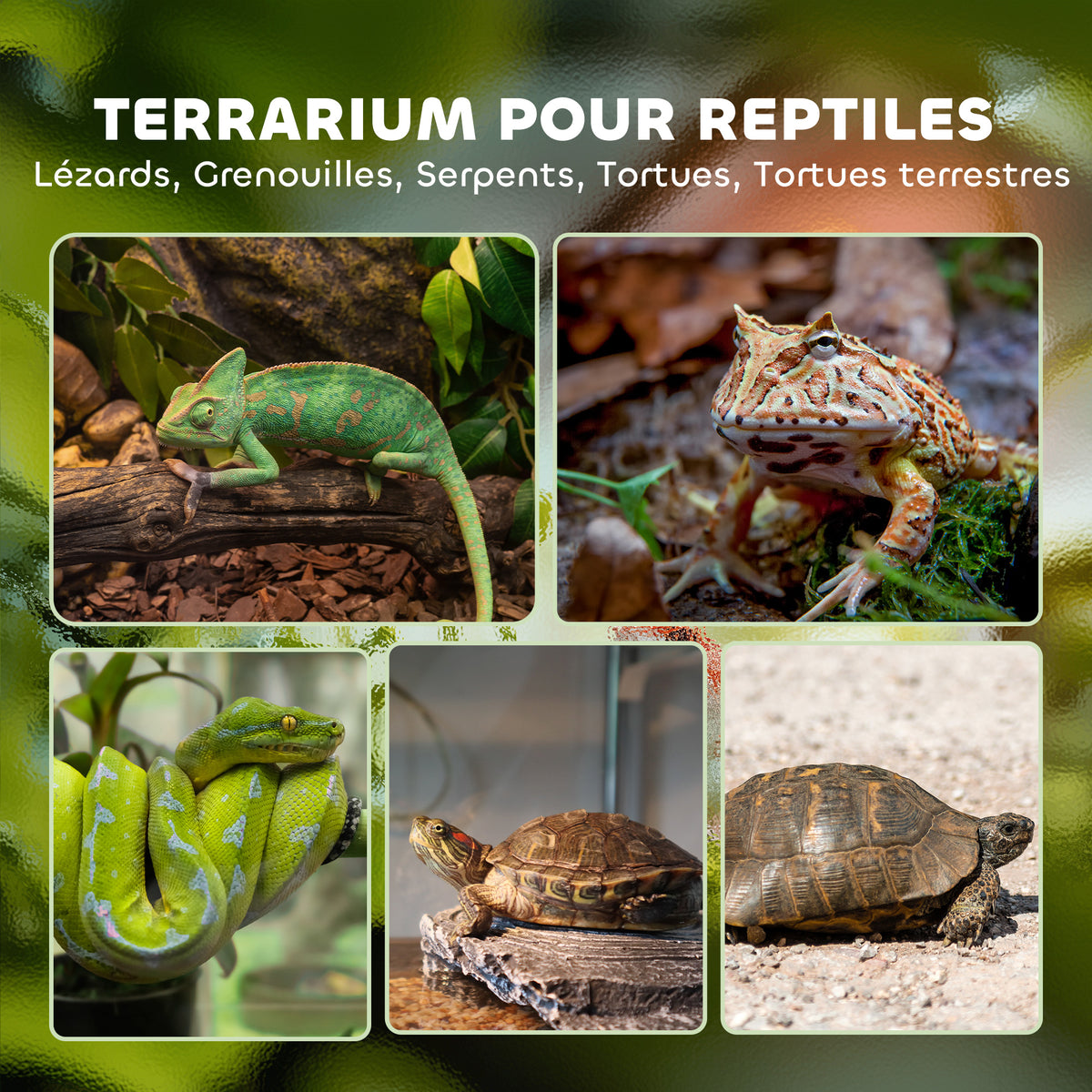 Boîte à reptiles, boîte d'élevage de reptiles, fermeture sécurisée par rotation, ventilation frontale, 50x30x35cm, noir