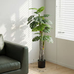 Árbol artificial Planta artificial Monstera Alt. 1,5 m Tronco Ramas Líquen Hojas de costilla de Adán Gran realismo Maceta incluida