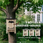 Ensemble de trois boîtes à chauve-souris nichoir chauve-souris avec un crochet18 x 6 x 22,5 cm bois naturel