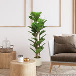 Plante artificielle intérieure 120 cm Figuier lyre arbre artificiel avec pot en plastique et tronc en bois massif, vert