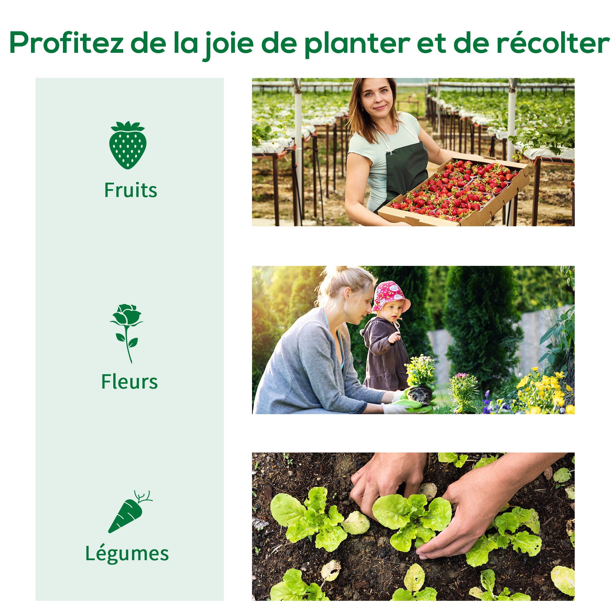 Texte alternatif de l'image