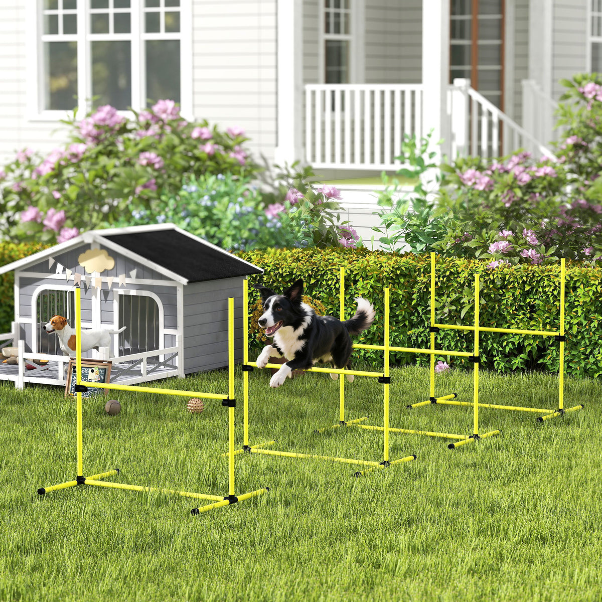 Txakurren agility kirol-seta, 4 oztopo profesional, lurrean finkatzeko sistemarekin eta garraio-poltsa barne.