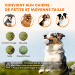 Lanceur de Balles Automatique avec 3 Balles en ETPU, 3 Réglages de Distance 6m/10m/14m, Intérieur et Extérieur, Vert