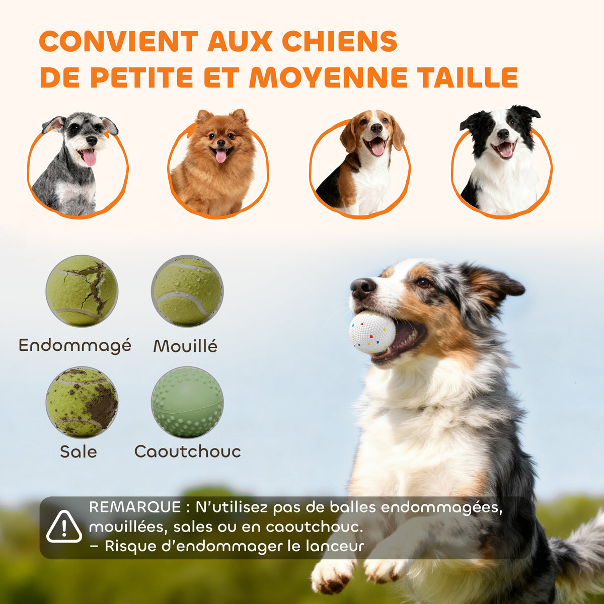 Lanceur de Balles Automatique avec 3 Balles en ETPU, 3 Réglages de Distance 6m/10m/14m, Intérieur et Extérieur, Vert