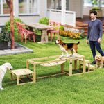Équipements d'entraînement agilité pour chien kit d'équipement d'agilité pour chien 3 pièces en bois massif bois naturel