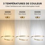 Suspension Luminaire avec 2 Anneaux, Lustre Suspendu LED à 3 Températures de Couleur, Hauteur Réglable, Doré