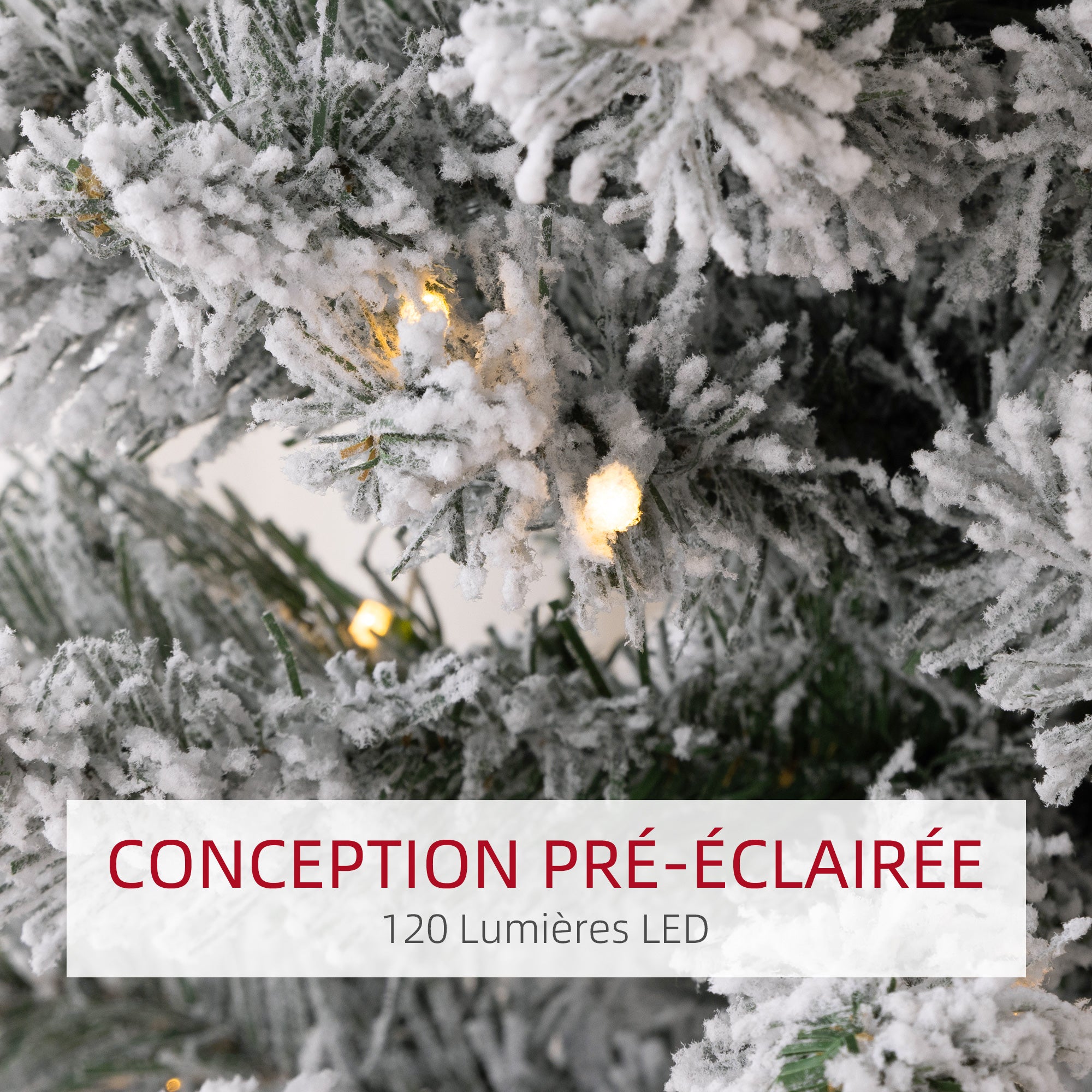 Texte alternatif de l'image