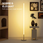 Lampadaire LED, lampadaire sur pied salon à intensité variable, télécommande, interrupteur à pied, Ø20x150cm, argent