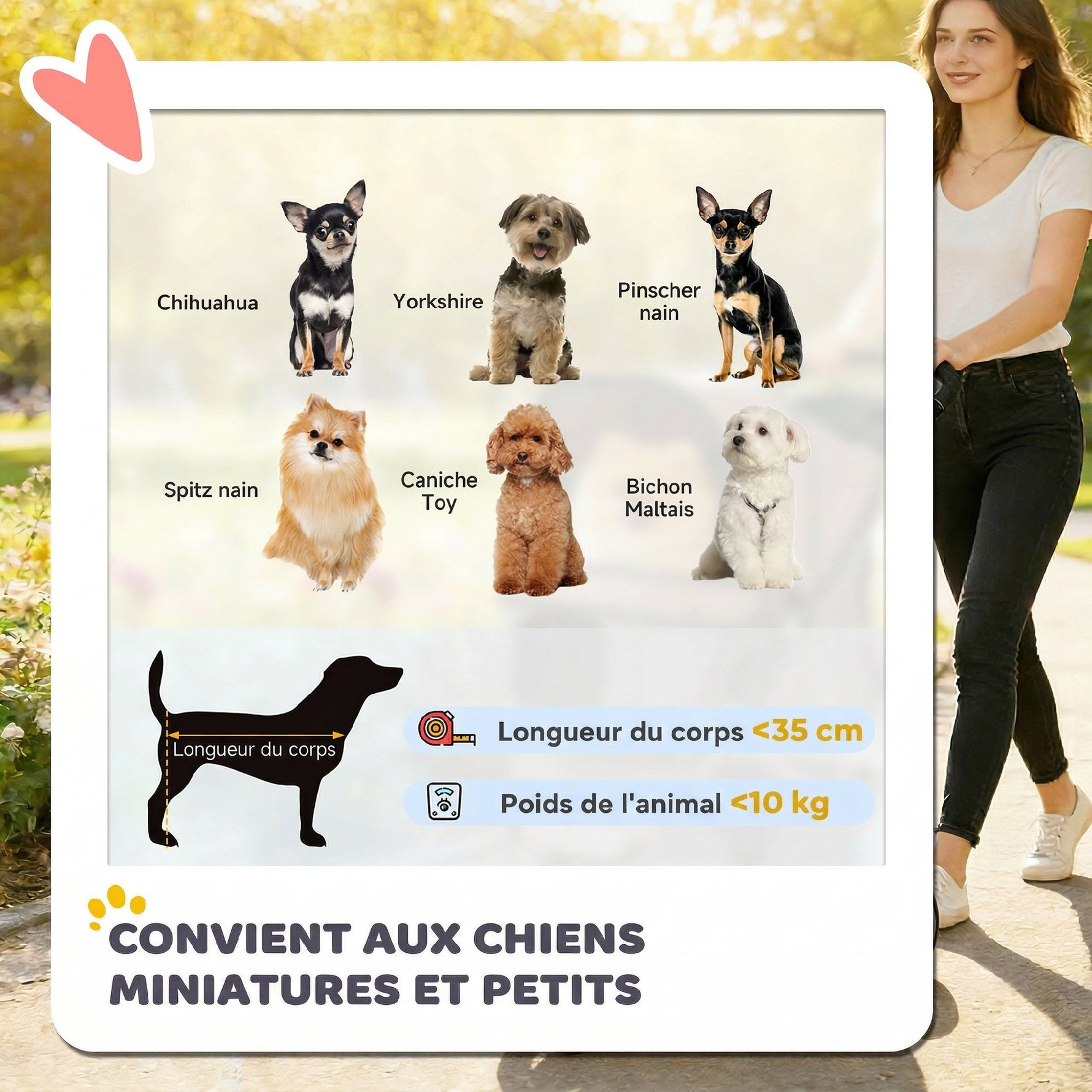 Poussette pour Chien 4 Roues, Chariot Pliable avec Auvent Réglable, Panier de Rangement, 77x44x102cm, Café