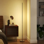 Lampadaire LED, lampadaire sur pied salon à intensité variable, télécommande, interrupteur à pied, Ø20x150cm, argent