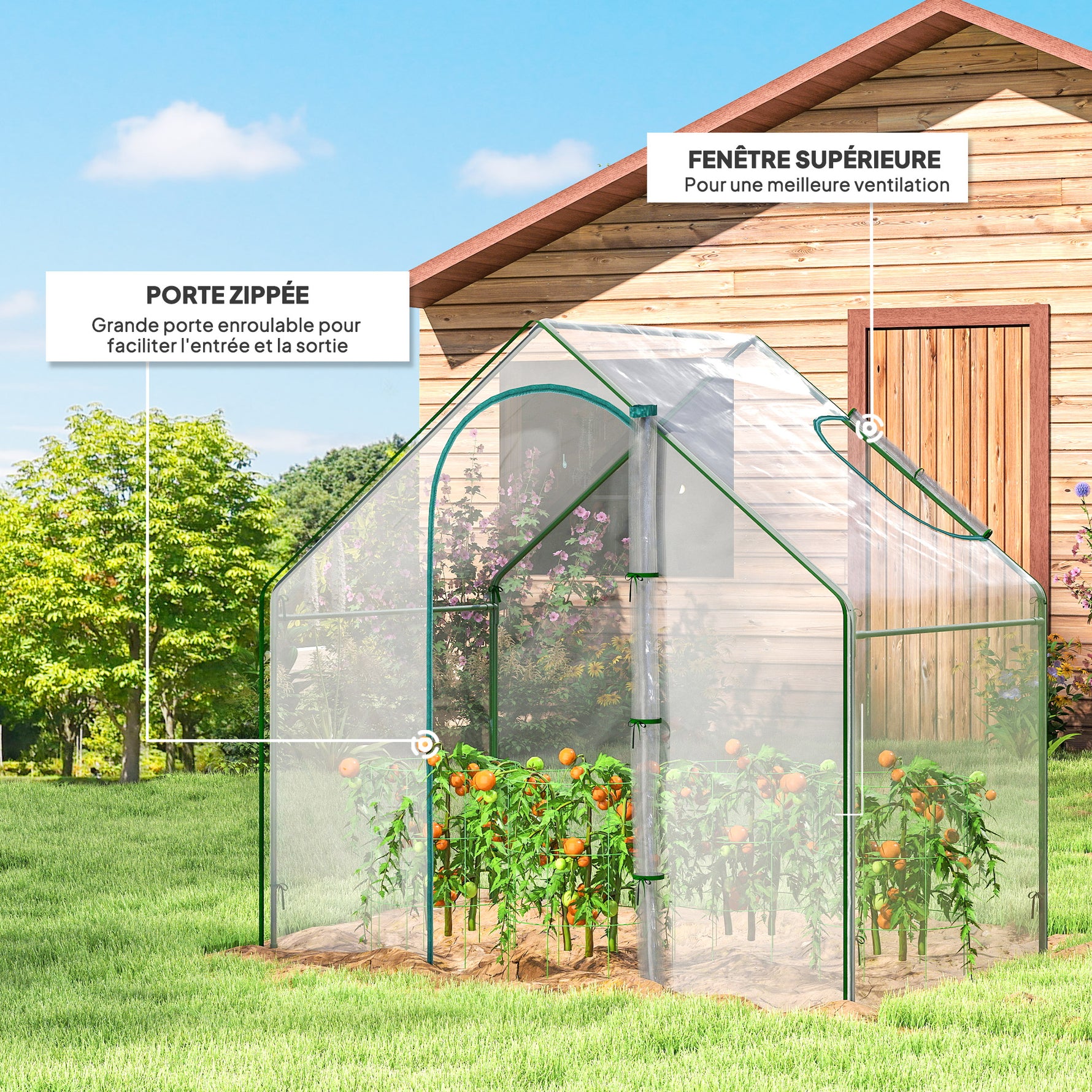 Serre de Jardin Balcon terrasse Serre pour tomates 1,8L x 1l x 1,68H m Acier plastique imperméable Transparent Vert