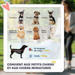 Passeggino per cani carrello pieghevole 3 ruote fuoristrada EVA 12" capottina regolabile 2 guinzagli 109,5x57,5x106,5cm rosso