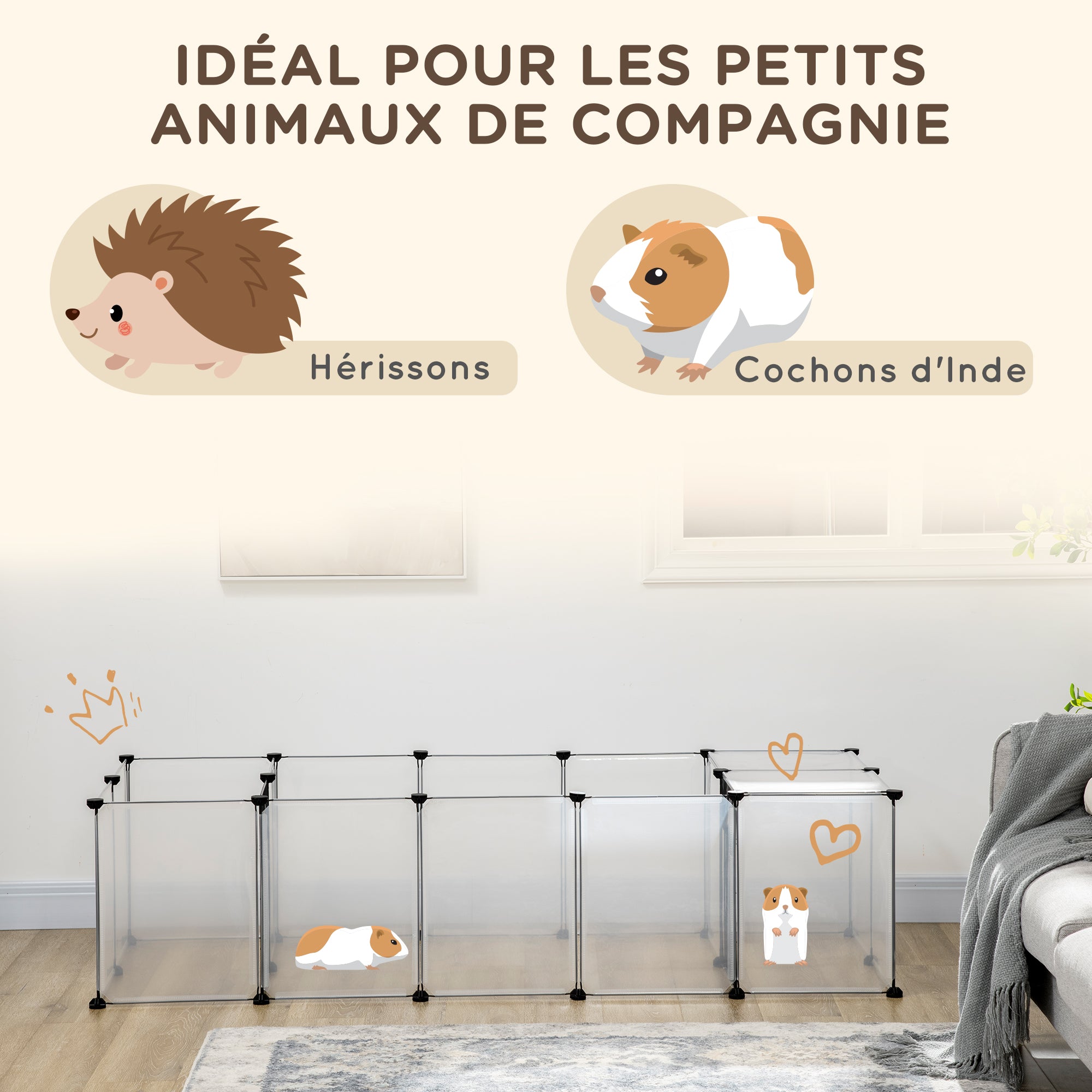 Texte alternatif de l'image
