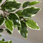 Plante artificielle ficus tronc branches liane lichen feuilles grand réalisme pot inclus hauteur 1,3 m