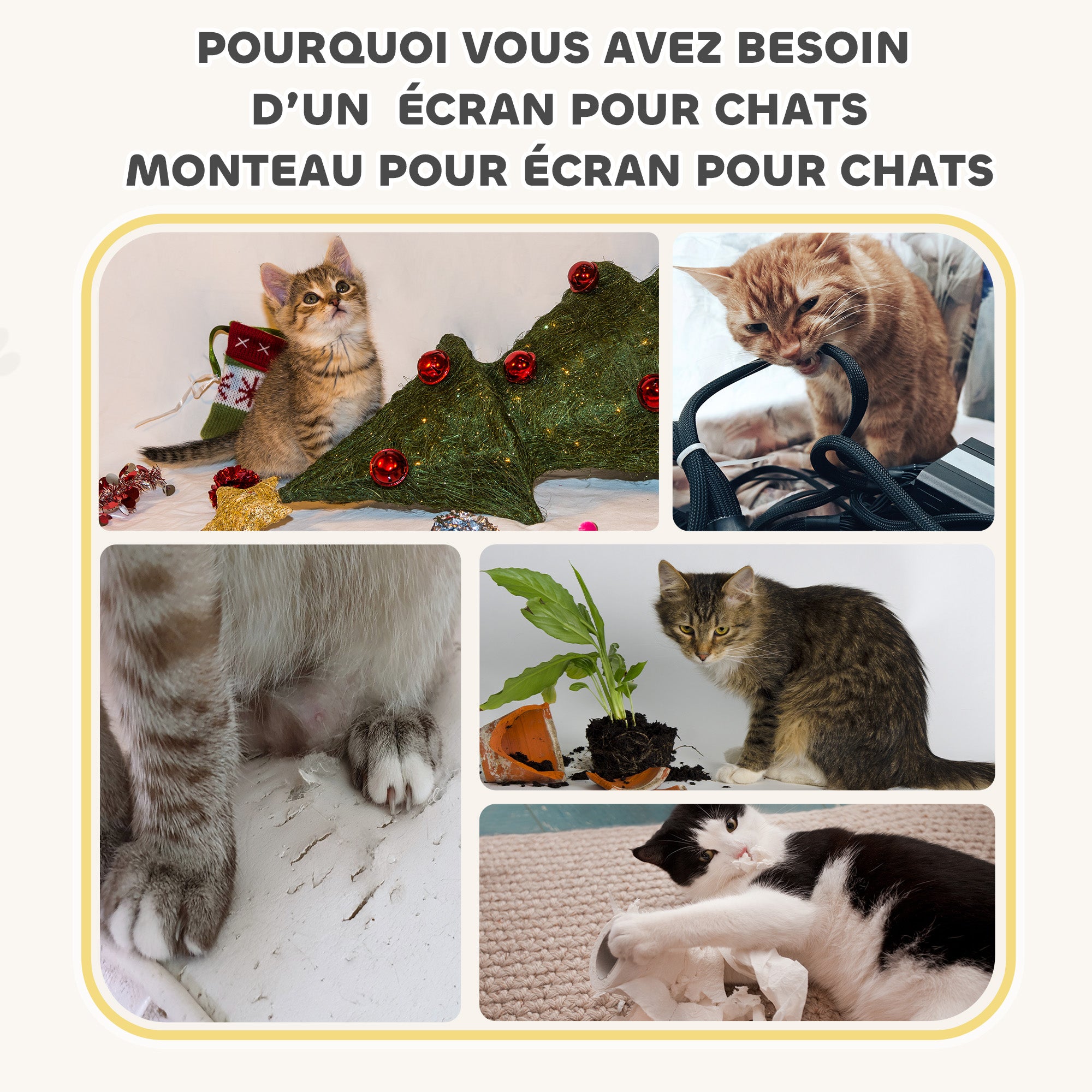 Texte alternatif de l'image
